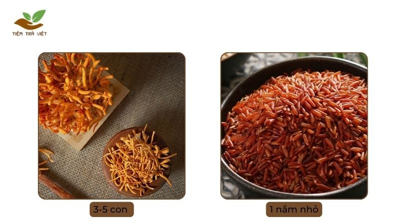 Nguyên liệu pha trà đông trùng gạo lứt