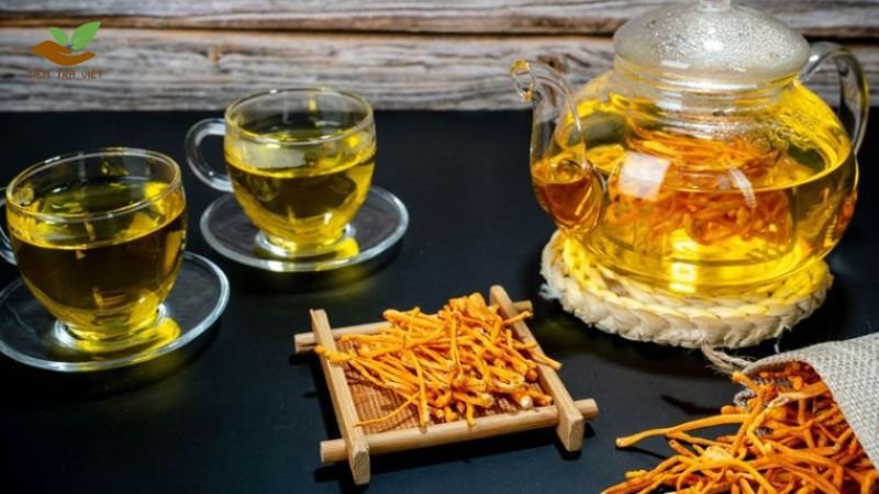 Trà đông trùng hạ thảo giúp