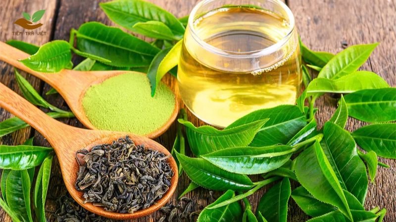 Trà xanh nhiều chất chống oxy hoá