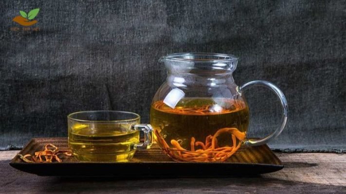 Tác dụng của trà đông trùng hạ thảo chi tiết