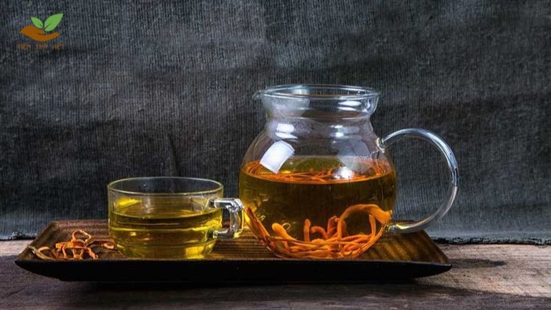 Cách pha trà đông trùng hạ thảo