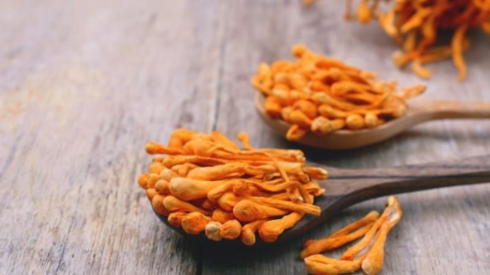Thông Tin Về Trà Đông Trùng Hạ Thảo Chi Tiết Nhất