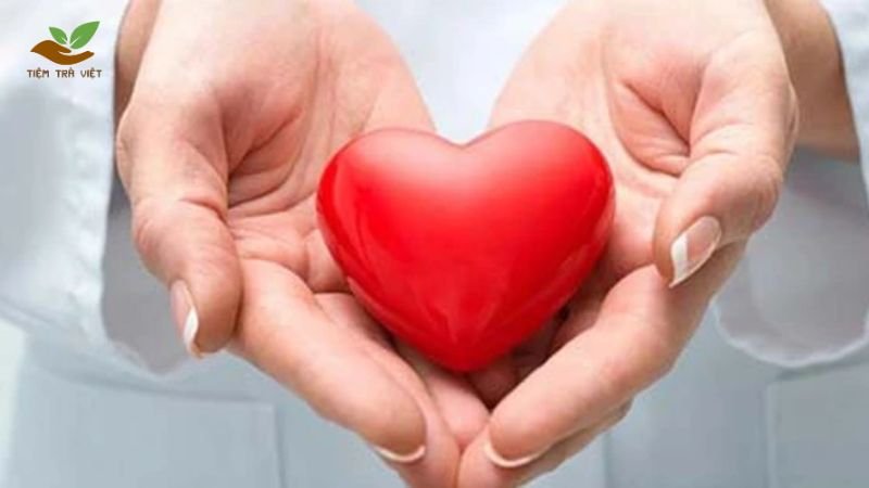 Trà dưỡng tâm an thần cải thiện sức khoẻ Tim mạch